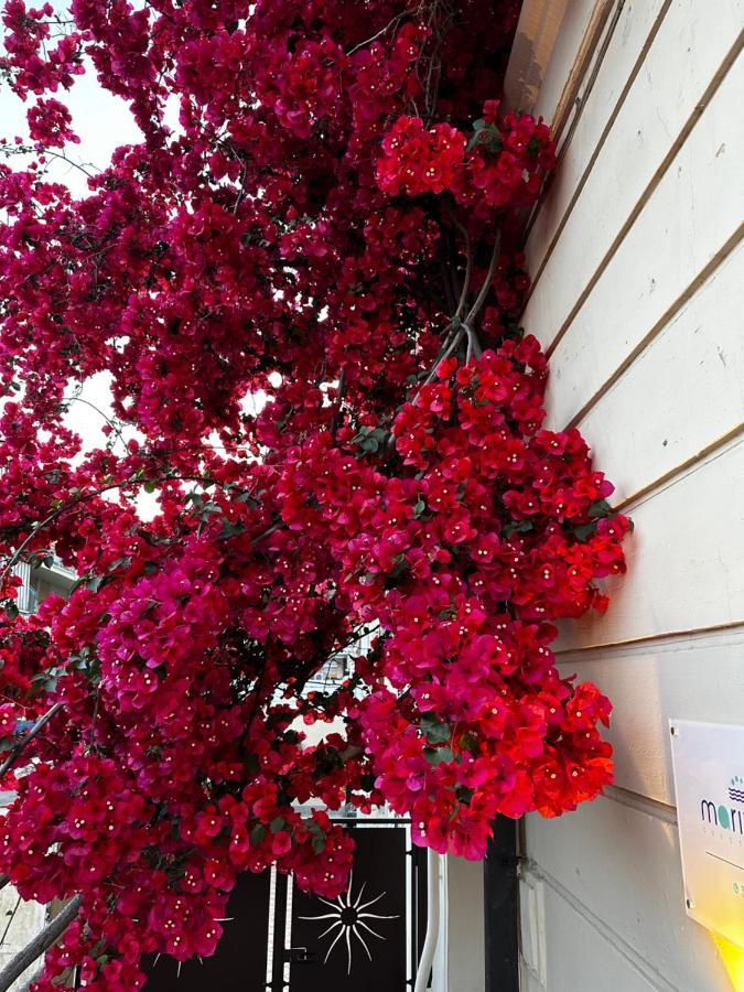 Mariviva Guest House Terracina Luaran gambar