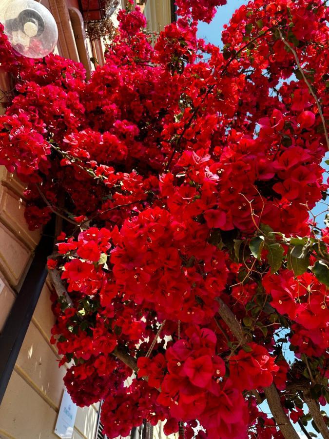 Mariviva Guest House Terracina Luaran gambar